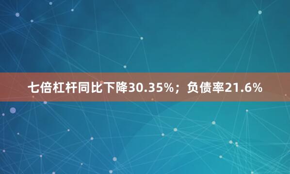 七倍杠杆同比下降30.35%；负债率21.6%