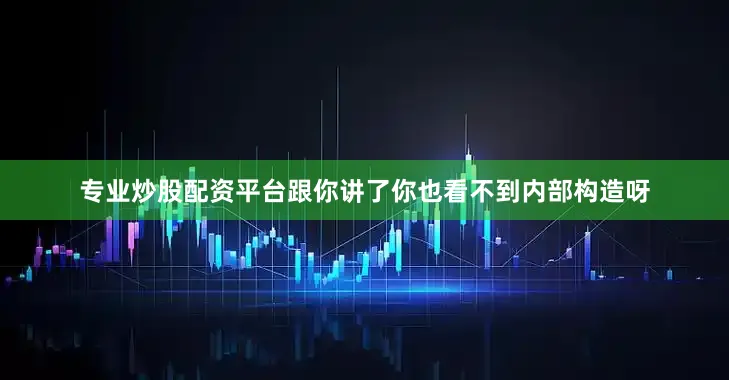 专业炒股配资平台跟你讲了你也看不到内部构造呀