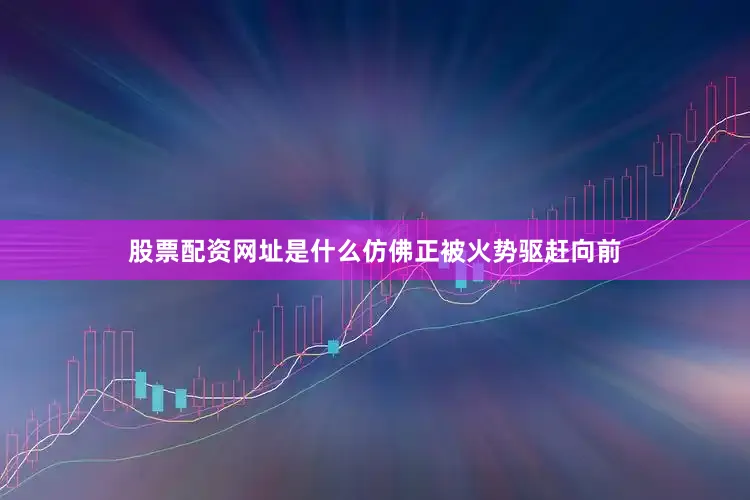 股票配资网址是什么仿佛正被火势驱赶向前