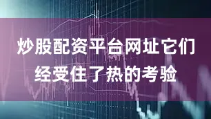 炒股配资平台网址它们经受住了热的考验