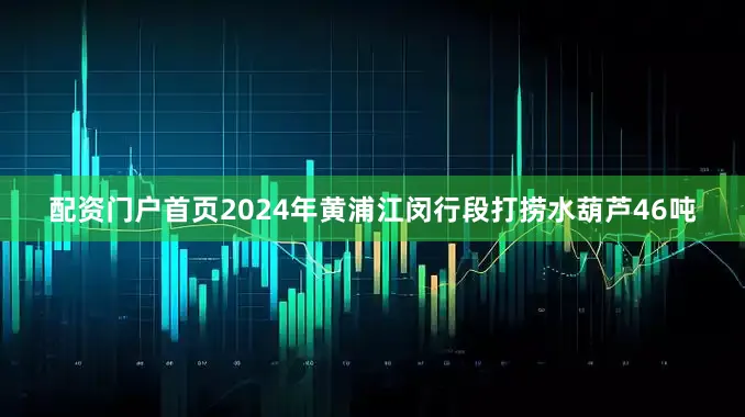 配资门户首页2024年黄浦江闵行段打捞水葫芦46吨
